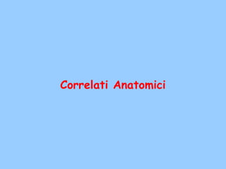 Correlati Anatomici
 