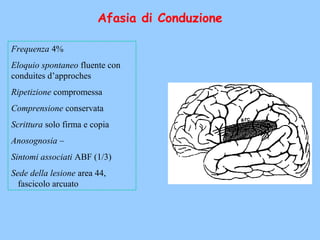 Afasia di Conduzione
Frequenza 4%
Eloquio spontaneo fluente con
conduites d’approches
Ripetizione compromessa
Comprensione conservata
Scrittura solo firma e copia
Anosognosia –
Sintomi associati ABF (1/3)
Sede della lesione area 44,
fascicolo arcuato
 