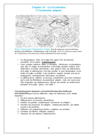 19
Chapitre IV : La Cicatrisation
1 Cicatrisation pulpaire
Swiss-cheese type of reparative dentin. Note the numerous areas of soft-tissue
inclusion and infiltration of inflammatory cells in the pulp. Noter les nombreux espaces mous
de l ' infiltration et l inclusion descellules inflammatoiresdans la pulpe.
• Les thérapeutiques vitales de la pulpe font appel à l’un des fonctions
essentielles de cet organe : la dentinogenèse.
• Aussi, certaines irritations faibles et chroniques ; infectieuses ou traumatiques
sont- elles à l' origine de sclérodentine et de dentine pariétale tertiaires dont
l'élaboration est parfois désordonnée ; mais quand il existe une inflammation
de la pulpe, la minéralisation n'est plus possible. le souci thérapeutique est de
rendre à la pulpe sa stérilité et une circulation sanguine normale pour que la
dentinogenèse momentanément interrompue recommence.
• La différenciation cellulaire en nouveaux odontoblastes passe bien évidement
par le stade des fibroblastes du parenchyme pulpaire ; mais cela a aussi pour
effet d'engendrer une dégénérescence fibreuse qui entraine un vieillissement
prématuré de la pulpe : guérir, c'est vieillir !
Cette dentinogenèse réparatrice a été particulièrement bien étudiée par
SELTZER(1959):qui a noté les différentes étapes de l’élaboration de la dentine
réparatrice :
1. Fin de la réponse inflammatoire.
2. Différenciation de nouveaux odontoblastes.
3. Synthèse des granules cytoplasmiques précurseurs du collagène ;
4. Sécrétion des précurseurs du collagène : aminopolysaccharides non sulfatés
associés à des protéines;
5. Sulfatation des aminopolysaccharides complexés aux protéines;
6. Formation des fibrilles collagènes (matrice);
7. Attraction des sels minéraux (minéralisation).
 