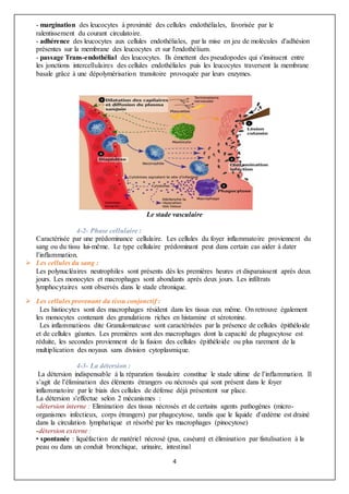 4
- margination des leucocytes à proximité des cellules endothéliales, favorisée par le
ralentissement du courant circulatoire.
- adhérence des leucocytes aux cellules endothéliales, par la mise en jeu de molécules d'adhésion
présentes sur la membrane des leucocytes et sur l'endothélium.
- passage Trans-endothélial des leucocytes. Ils émettent des pseudopodes qui s'insinuent entre
les jonctions intercellulaires des cellules endothéliales puis les leucocytes traversent la membrane
basale grâce à une dépolymérisation transitoire provoquée par leurs enzymes.
Le stade vasculaire
4-2- Phase cellulaire :
Caractérisée par une prédominance cellulaire. Les cellules du foyer inflammatoire proviennent du
sang ou du tissu lui-même. Le type cellulaire prédominant peut dans certain cas aider à dater
l’inflammation.
 Les cellules du sang :
Les polynucléaires neutrophiles sont présents dès les premières heures et disparaissent après deux
jours. Les monocytes et macrophages sont abondants après deux jours. Les infiltrats
lymphocytaires sont observés dans le stade chronique.
 Les cellules provenant du tissu conjonctif :
Les histiocytes sont des macrophages résident dans les tissus eux même. On retrouve également
les monocytes contenant des granulations riches en histamine et sérotonine.
Les inflammations dite Granulomateuse sont caractérisées par la présence de cellules épithéloide
et de cellules géantes. Les premières sont des macrophages dont la capacité de phagocytose est
réduite, les secondes proviennent de la fusion des cellules épithéloide ou plus rarement de la
multiplication des noyaux sans division cytoplasmique.
4-3- La détersion :
La détersion indispensable à la réparation tissulaire constitue le stade ultime de l’inflammation. Il
s’agit de l’élimination des éléments étrangers ou nécrosés qui sont présent dans le foyer
inflammatoire par le biais des cellules de défense déjà présentent sur place.
La détersion s'effectue selon 2 mécanismes :
-détersion interne : Elimination des tissus nécrosés et de certains agents pathogènes (micro-
organismes infectieux, corps étrangers) par phagocytose, tandis que le liquide d'œdème est drainé
dans la circulation lymphatique et résorbé par les macrophages (pinocytose)
-détersion externe :
• spontanée : liquéfaction de matériel nécrosé (pus, caséum) et élimination par fistulisation à la
peau ou dans un conduit bronchique, urinaire, intestinal
 