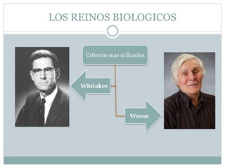 LOS REINOS BIOLOGICOS
Criterios mas utilizados
Whitaker
Woese
 