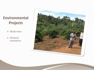 Kibinge Coffee Farmers’ Co-operative Society Ltd.