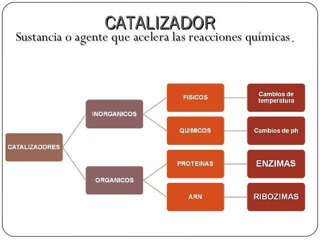 Biología - Enzimas