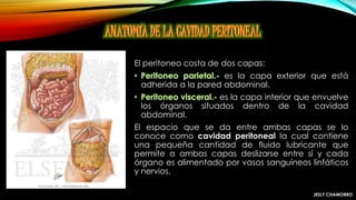 El peritoneo costa de dos capas:
es la capa exterior que está
adherida a la pared abdominal.
es la capa interior que envuelve
los órganos situados dentro de la cavidad
abdominal.
El espacio que se da entre ambas capas se lo
conoce como cavidad peritoneal la cual contiene
una pequeña cantidad de fluido lubricante que
permite a ambas capas deslizarse entre sí y cada
órgano es alimentado por vasos sanguíneos linfáticos
y nervios.
JESLY CHAMORRO
 