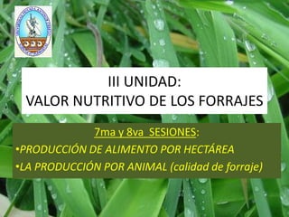 III UNIDAD:
 VALOR NUTRITIVO DE LOS FORRAJES
             7ma y 8va SESIONES:
•PRODUCCIÓN DE ALIMENTO POR HECTÁREA
•LA PRODUCCIÓN POR ANIMAL (calidad de forraje)
 