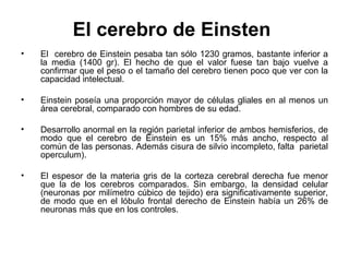El cerebro de Einsten
• El cerebro de Einstein pesaba tan sólo 1230 gramos, bastante inferior a
la media (1400 gr). El hecho de que el valor fuese tan bajo vuelve a
confirmar que el peso o el tamaño del cerebro tienen poco que ver con la
capacidad intelectual.
• Einstein poseía una proporción mayor de células gliales en al menos un
área cerebral, comparado con hombres de su edad.
• Desarrollo anormal en la región parietal inferior de ambos hemisferios, de
modo que el cerebro de Einstein es un 15% más ancho, respecto al
común de las personas. Además cisura de silvio incompleto, falta parietal
operculum).
• El espesor de la materia gris de la corteza cerebral derecha fue menor
que la de los cerebros comparados. Sin embargo, la densidad celular
(neuronas por milímetro cúbico de tejido) era significativamente superior,
de modo que en el lóbulo frontal derecho de Einstein había un 26% de
neuronas más que en los controles.
 