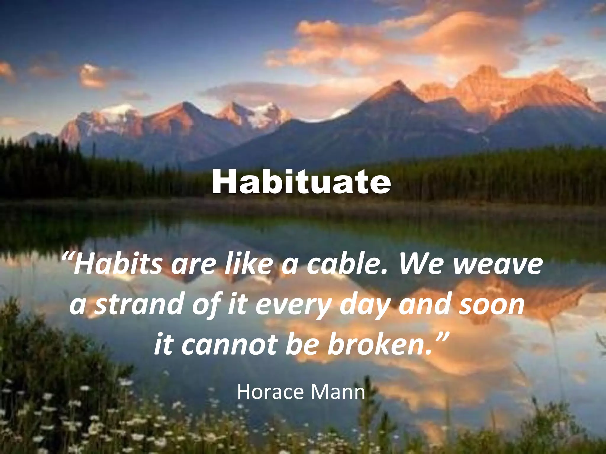Habituate
“Habits are like a cable. We weave
a strand of it every day and soon
it cannot be broken.”
Horace Mann
 