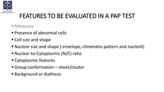 FEATURES TO BE EVALUATED IN A PAP TEST
 Adequacy
 Presence of abnormal cells
 Cell size and shape
 Nuclear size and shape ( envelope, chromatin pattern and nucleoli)
 Nuclear-to-Cytoplasmic (N/C) ratio
 Cytoplasmic features
 Group conformation – sheet/cluster
 Background or diathesis
 