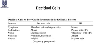 Decidual Cells
 