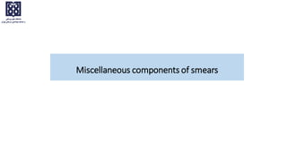 Miscellaneous components of smears
 