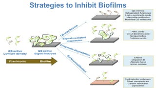 Antimicrobial resistance and Biofilm | PPTX