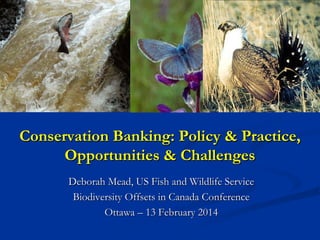 Conservation Banking: Policy & Practice,
Opportunities & Challenges
Deborah Mead, US Fish and Wildlife Service
Biodiversity Offsets in Canada Conference
Ottawa – 13 February 2014

 