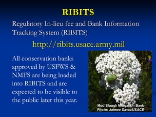 Conservation Banking: Policy & Practice, Opportunities & Challenges | PDF