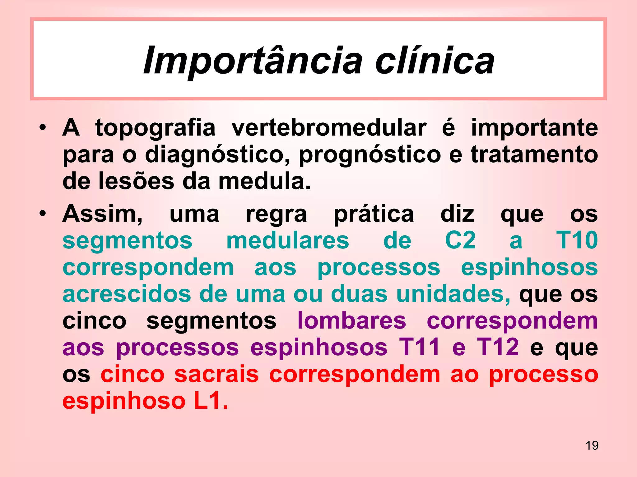 19
• A topografia vertebromedular é importante
para o diagnóstico, prognóstico e tratamento
de lesões da medula.
• Assim, uma regra prática diz que os
segmentos medulares de C2 a T10
correspondem aos processos espinhosos
acrescidos de uma ou duas unidades, que os
cinco segmentos lombares correspondem
aos processos espinhosos T11 e T12 e que
os cinco sacrais correspondem ao processo
espinhoso L1.
Importância clínica
 