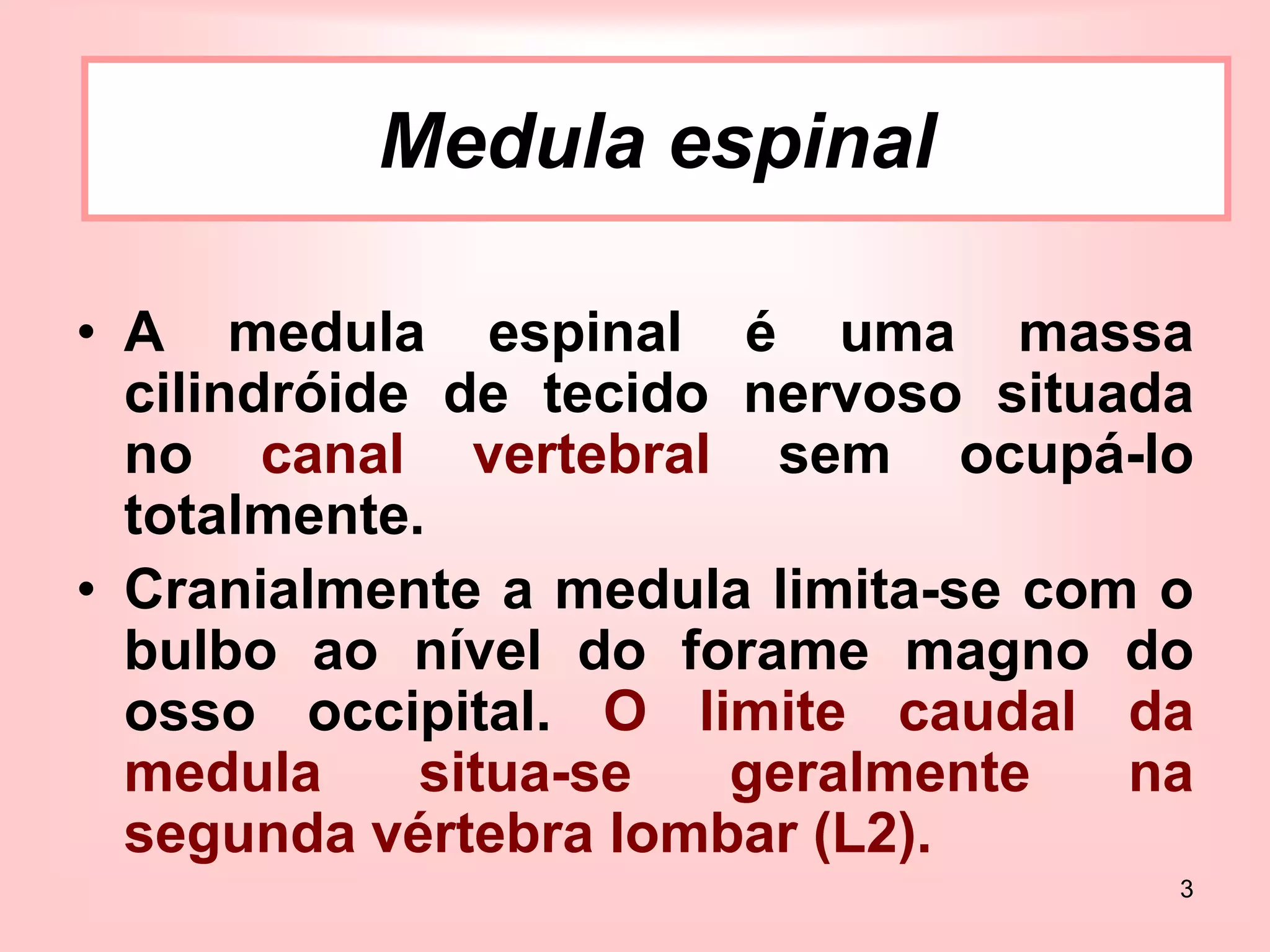 3
Medula Espinal
• A medula espinal é uma massa
cilindróide de tecido nervoso situada
no canal vertebral sem ocupá-lo
totalmente.
• Cranialmente a medula limita-se com o
bulbo ao nível do forame magno do
osso occipital. O limite caudal da
medula situa-se geralmente na
segunda vértebra lombar (L2).
Medula espinal
 