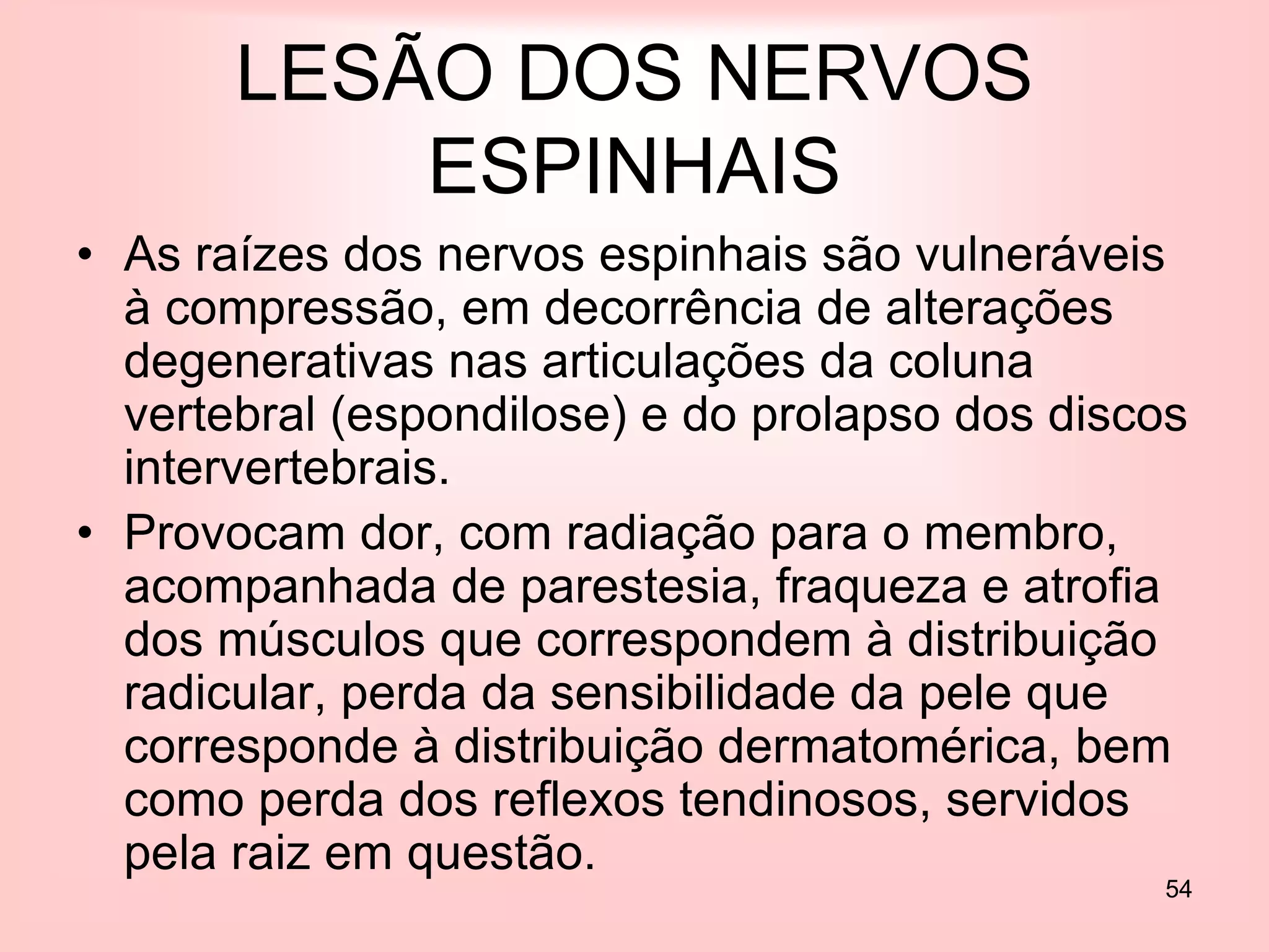 54
LESÃO DOS NERVOS
ESPINHAIS
• As raízes dos nervos espinhais são vulneráveis
à compressão, em decorrência de alterações
degenerativas nas articulações da coluna
vertebral (espondilose) e do prolapso dos discos
intervertebrais.
• Provocam dor, com radiação para o membro,
acompanhada de parestesia, fraqueza e atrofia
dos músculos que correspondem à distribuição
radicular, perda da sensibilidade da pele que
corresponde à distribuição dermatomérica, bem
como perda dos reflexos tendinosos, servidos
pela raiz em questão.
 