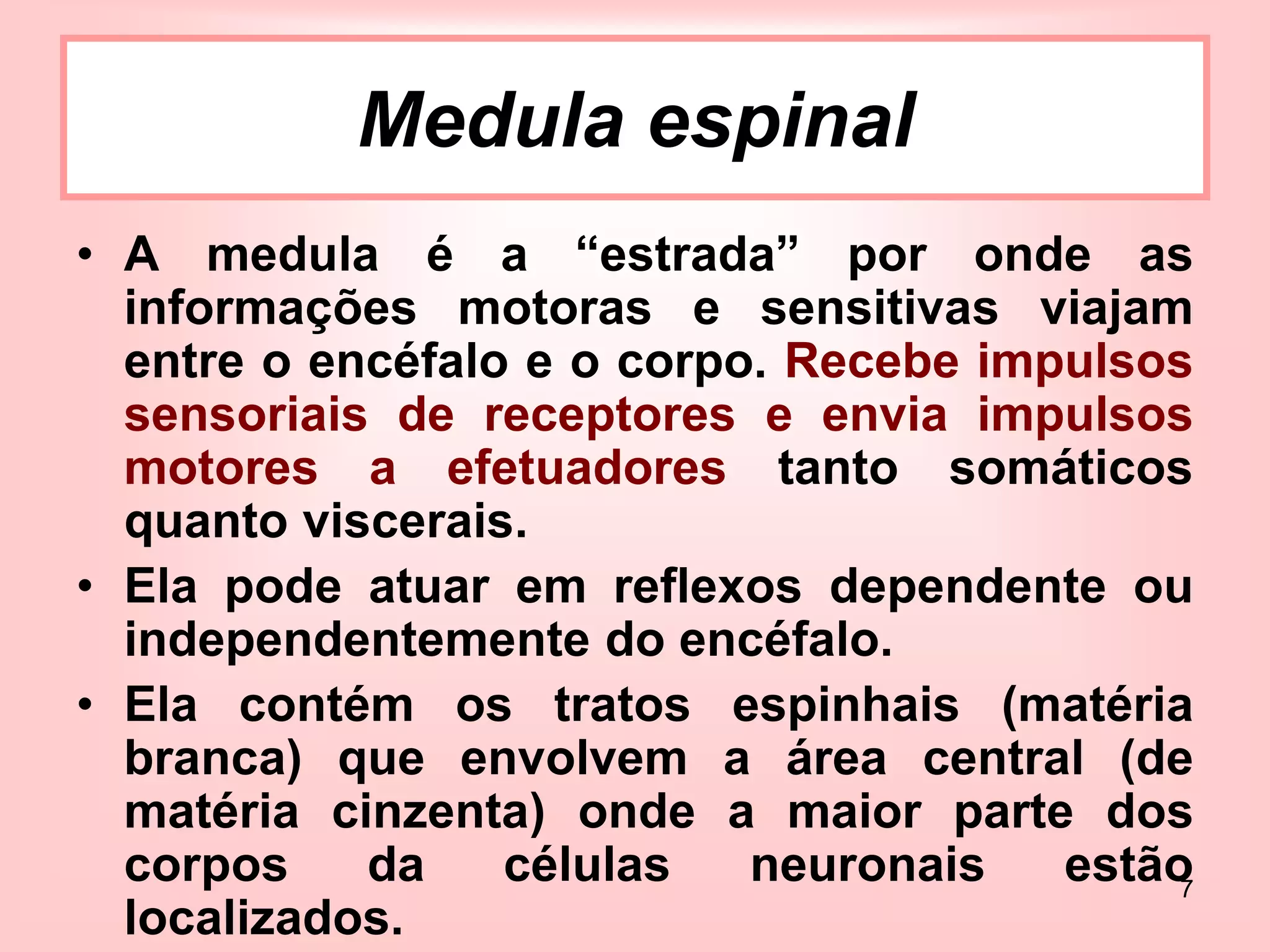 7
• A medula é a “estrada” por onde as
informações motoras e sensitivas viajam
entre o encéfalo e o corpo. Recebe impulsos
sensoriais de receptores e envia impulsos
motores a efetuadores tanto somáticos
quanto viscerais.
• Ela pode atuar em reflexos dependente ou
independentemente do encéfalo.
• Ela contém os tratos espinhais (matéria
branca) que envolvem a área central (de
matéria cinzenta) onde a maior parte dos
corpos da células neuronais estão
localizados.
Medula espinal
 