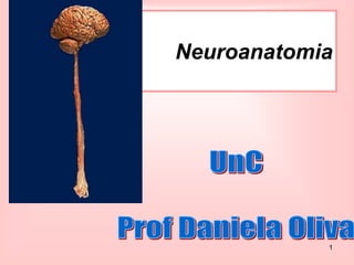 1
Neuroanatomia
 