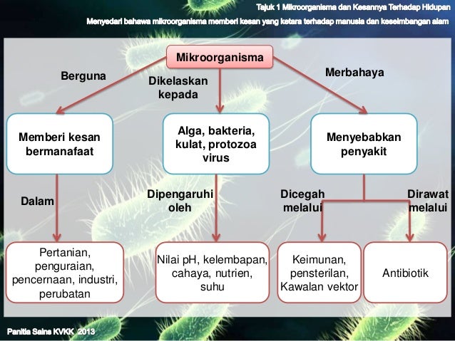 Sains Tahun 6 Mikroorganisma Lessons Blendspace