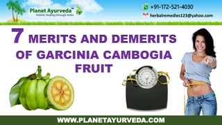 +91-172-521-4030
herbalremedies123@yahoo.com
WWW.PLANETAYURVEDA.COM
7 MERITS AND DEMERITS
OF GARCINIA CAMBOGIA
FRUIT
 