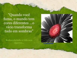 "Quando você fuma, o mundo tem cores diferentes ...o vício transforma tudo em sombras" Redescobrindo a vida sem cigarros... Foto : atomicshark 