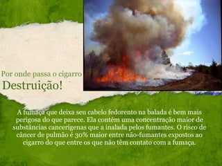 Destruição! Por onde passa o cigarro A fumaça que deixa seu cabelo fedorento na balada é bem mais perigosa do que parece. Ela contém uma concentração maior de substâncias cancerígenas que a inalada pelos fumantes. O risco de câncer de pulmão é 30% maior entre não-fumantes expostos ao cigarro do que entre os que não têm contato com a fumaça. Foto :  Voxphoto 