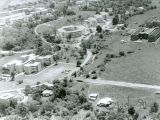 รูปภาพ  (Picture) รูปภาพ  (Picture)   เป็นภาพนิ่งทึบแสงที่แสดงเรื่องราว เหตุการณ์ วัตถุ หรือบุคคล รูปภาพอาจเป็น ภาพถ่าย ภาพศิลปะต้นฉบับ การพิมพ์ ภาพจำลอง ภาพโปสเตอร์ ภาพโปสการ์ด ภาพเทคนิค ภาพการศึกษา  7 , 10 , 12   และ  16   นิ้ว  