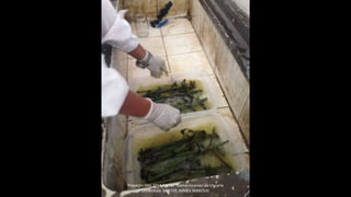 Proyecto 044-2014 FINCyT Domesticacion de Uncaria
tomentosa SANTOS JAIMES SERKOVIC
 