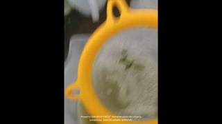 Proyecto 044-2014 FINCyT Domesticacion de Uncaria
tomentosa SANTOS JAIMES SERKOVIC
 