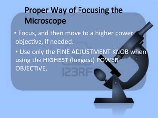 Microscope Focusing Principles.pdf Comprehensive Guide to Microscope Parts, Functions, and Proper Usage | PPT