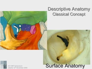 midface anatomy surgical approaches AO craniomaxillofacial symposium | PDF