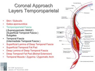 midface anatomy surgical approaches AO craniomaxillofacial symposium | PDF