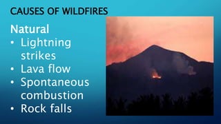 CAUSES OF WILDFIRES
Natural
• Lightning
strikes
• Lava flow
• Spontaneous
combustion
• Rock falls
 