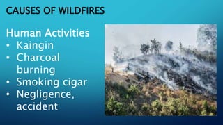 CAUSES OF WILDFIRES
Human Activities
• Kaingin
• Charcoal
burning
• Smoking cigar
• Negligence,
accident
 