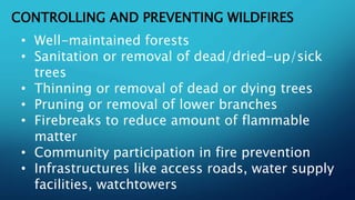 CONTROLLING AND PREVENTING WILDFIRES
• Well-maintained forests
• Sanitation or removal of dead/dried-up/sick
trees
• Thinning or removal of dead or dying trees
• Pruning or removal of lower branches
• Firebreaks to reduce amount of flammable
matter
• Community participation in fire prevention
• Infrastructures like access roads, water supply
facilities, watchtowers
 