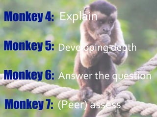 Monkey 4:
Monkey 5:
Monkey 6:
Monkey 7:
Explain
Developing depth
Answer the question
(Peer) assess
 