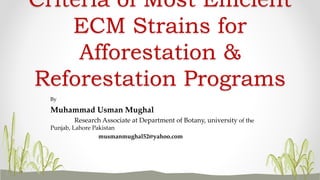 By
Muhammad Usman Mughal
Research Associate at Department of Botany, university of the
Punjab, Lahore Pakistan
musmanmughal52@yahoo.com
Criteria of Most Efficient
ECM Strains for
Afforestation &
Reforestation Programs
 