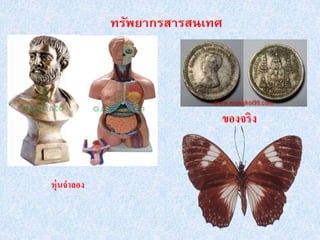 หุ่นจาลอง
ของจริง
 