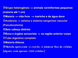 Grupo heterogêneo     animais vermiformes pequenos (maioria até 1 cm) Maioria    vida livre    marinho e de água doce Ausência    celoma e sistema sanguíneo vascular  (Pseudoceloma) Sem cabeça distinta  Boca e órgãos sensoriais    na região anterior corpo  Tubo digestivo completo Maioria dióicos Maioria apresenta    eutelia     número fixo de células (alguns com apenas 1000 células)  
