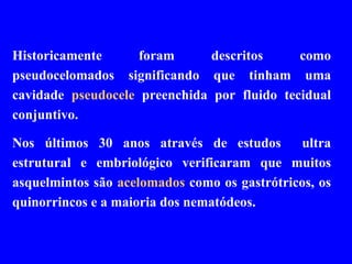 Historicamente foram descritos como pseudocelomados significando que tinham uma cavidade  pseudocele  preenchida por fluido tecidual conjuntivo. Nos últimos 30 anos através de estudos  ultra estrutural e embriológico verificaram que muitos asquelmintos são  acelomados  como os gastrótricos, os quinorrincos e a maioria dos nematódeos. 