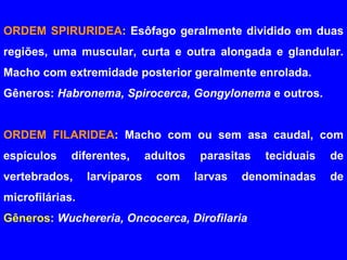 ORDEM SPIRURIDEA :  Esôfago geralmente dividido em duas regiões, uma muscular, curta e outra alongada e glandular. Macho com extremidade posterior geralmente enrolada. Gêneros:  Habronema, Spirocerca, Gongylonema  e outros. ORDEM FILARIDEA : Macho com ou sem asa caudal, com espículos diferentes, adultos parasitas teciduais de vertebrados, larvíparos com larvas denominadas de microfilárias. Gêneros :  Wuchereria, Oncocerca, Dirofilaria 