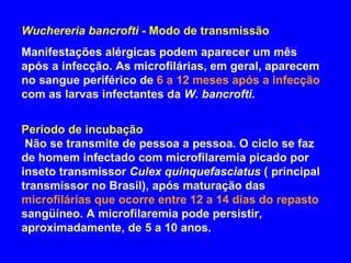 Wuchereria bancrofti  - Modo de transmissão Manifestações alérgicas podem aparecer um mês após a infecção. As microfilárias, em geral, aparecem no sangue periférico de  6 a 12 meses após a infecção  com as larvas infectantes da  W. bancrofti. Período de incubação  Não se transmite de pessoa a pessoa. O ciclo se faz de homem infectado com microfilaremia picado por inseto transmissor  Culex quinquefasciatus  ( principal transmissor no Brasil), após maturação das  microfilárias que ocorre entre 12 a 14 dias do repasto  sangüíneo. A microfilaremia pode persistir, aproximadamente, de 5 a 10 anos. 
