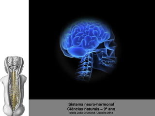 Sistema neuro-hormonal
Ciências naturais – 9º ano
Maria João Drumond / Janeiro 2014

 