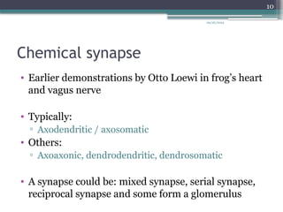 09/26/2024
10
Chemical synapse
• Earlier demonstrations by Otto Loewi in frog’s heart
and vagus nerve
• Typically:
▫ Axodendritic / axosomatic
• Others:
▫ Axoaxonic, dendrodendritic, dendrosomatic
• A synapse could be: mixed synapse, serial synapse,
reciprocal synapse and some form a glomerulus
 