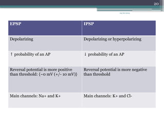 09/26/2024
20
EPSP IPSP
Depolarizing Depolarizing or hyperpolarizing
↑ probability of an AP ↓ probability of an AP
Reversal potential is more positive
than threshold: {~0 mV (+/- 10 mV)}
Reversal potential is more negative
than threshold
Main channels: Na+ and K+ Main channels: K+ and Cl-
 
