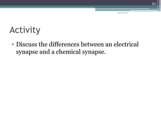 09/26/2024
21
Activity
• Discuss the differences between an electrical
synapse and a chemical synapse.
 