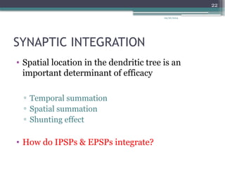 09/26/2024
22
SYNAPTIC INTEGRATION
• Spatial location in the dendritic tree is an
important determinant of efficacy
▫ Temporal summation
▫ Spatial summation
▫ Shunting effect
• How do IPSPs & EPSPs integrate?
 