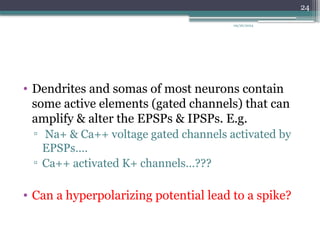 09/26/2024
24
• Dendrites and somas of most neurons contain
some active elements (gated channels) that can
amplify & alter the EPSPs & IPSPs. E.g.
▫ Na+ & Ca++ voltage gated channels activated by
EPSPs….
▫ Ca++ activated K+ channels…???
• Can a hyperpolarizing potential lead to a spike?
 