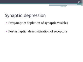09/26/2024
29
Synaptic depression
• Presynaptic: depletion of synaptic vesicles
• Postsynaptic: desensitization of receptors
 