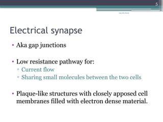 09/26/2024
5
Electrical synapse
• Aka gap junctions
• Low resistance pathway for:
▫ Current flow
▫ Sharing small molecules between the two cells
• Plaque-like structures with closely apposed cell
membranes filled with electron dense material.
 